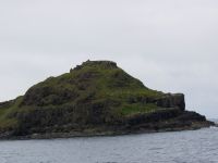 Einer von Fionns Misthaufen, links sieht man Fionns Großmutter hinaufklettern