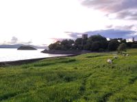Dunollie Castle 