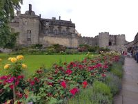 Stirling Castle - Rosengarten 