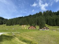 Aufstieg zum Hochalppass - Bärgunt-Hütte