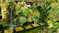 Eric Young Orchid Foundation. Rundreise Jersey und Guernsey - Kanalinseln entdecken (GB-JERF8)