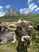 Aufstieg zum Simmel (1.751 Meter)