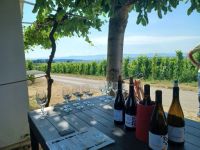 Hermitage -Weinverkostung