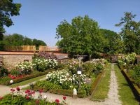Rosengarten, Schloß Hof