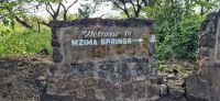 295 Besuch Mzima Springs
