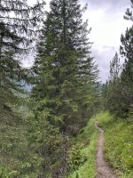 hinein ins Plötzingtal