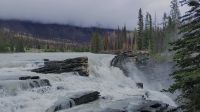 Athabasca Falls 