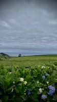 São Miguel Island, Ribeira Grande, Azores, Portugal
