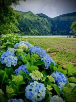 São Miguel Island, Ponta Delgada, Azores, Portugal