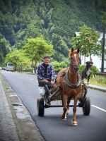 São Miguel Island, Ponta Delgada, Azores, Portugal