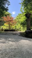 Parque Terra Nostra, São Miguel Island, Povoação, Azores, Portugal