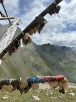 Baum der Träume am Timmelsjoch