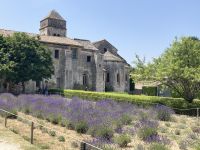 IProvence intensive vom 21.-28.6.25: Das Kloster St. Paul de Mausole (van Goghs Psychiatrie)