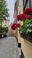 Stockholm: Altstadt