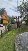 Grönåsens Elchpark