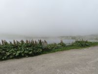 043 Fahrt ins Fieschertal - auf dem Gotthardpass