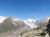084 Auf dem Eggishorn - Blick über den Aletschgletscher zu Eiger, Mönch und Jungfrau