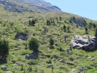 161 Zermatt - Wanderung auf dem Blumenweg