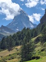 313 Zermatt - Wanderung von Furi nach Zermatt - Blick zur Gornergratbahn und zum Matterhorn Express