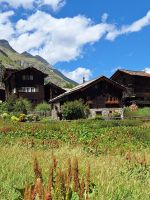 315 Zermatt - Wanderung von Furi nach Zermatt