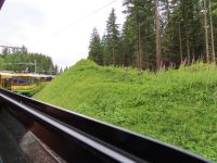 374 Ausflug zum Jungfraujoch - Fahrt mit der Wengeralpbahn auf die Kleine Scheidegg