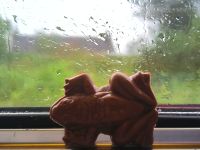 Schokofrosch im Zug