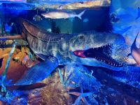 Tag 3 - Mergelgrotten, Valkenburg