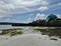 6. Tag – Ausflug auf die Aran Islands – Wandern auf Inishmore – Hafen von Kilronan