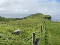 Faröer - Ausflug Vogelinsel Mykines