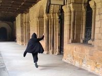 Snape oder Fake?