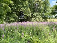 Spaziergang Göta Kanal