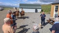 20250713_1a uf der Pferdefarm Lytingsstadir.jpg