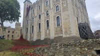 Mohnblüten für den 80. Jahrestag des Sieges in Europa 