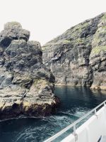 Faröer - Vestmänna Bootstour zu den Vogelfelsen