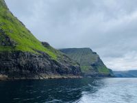 Faröer - Vestmänna Bootstour zu den Vogelfelsen