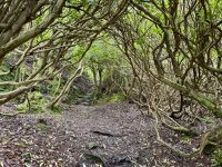 10. Tag – Ring of Kerry – Zusatzwanderung vom Scariff Inn zum Derrynane Beach