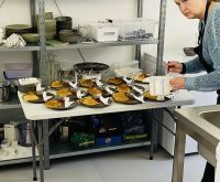 Faröer - Tjørnuvîk Pfannkuchen-Café