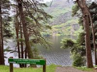 12. Tag – Tag in den Wicklow Mountains – Wandern im Tal von Glendalough – Kevin's Bed View