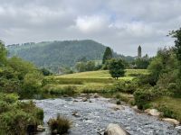12. Tag – Tag in den Wicklow Mountains – Wandern im Tal von Glendalough – Blick zur Klosterruine