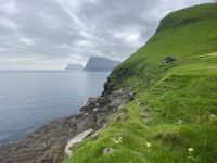 Faröer - Trøllanes Papageientaucher-Kolonie