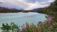 Peyto Lake