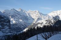 von der Bahn aus fotografiert