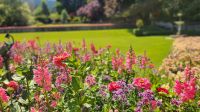 Butchart Gardens - Vancouver Islands