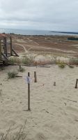 Kurische Nehrung: Hohe Düne