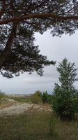 Kurische Nehrung: Hohe Düne