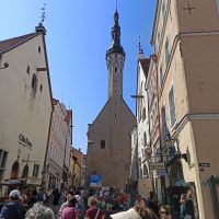 Tallinn: Rundgang: Rathaus