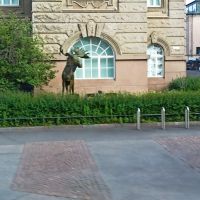 Helsinki: Rundfahrt