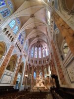 Besichtigung der Kathedrale von Chartes mit Führung durch Martin