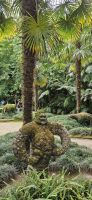Insel Sao Miguel, Terra Nostra Park