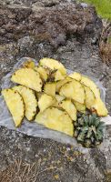 Insel Sao Miguel, Verkostung Azoren Ananas